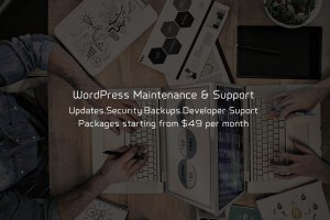 WordPress Support and Maintenance