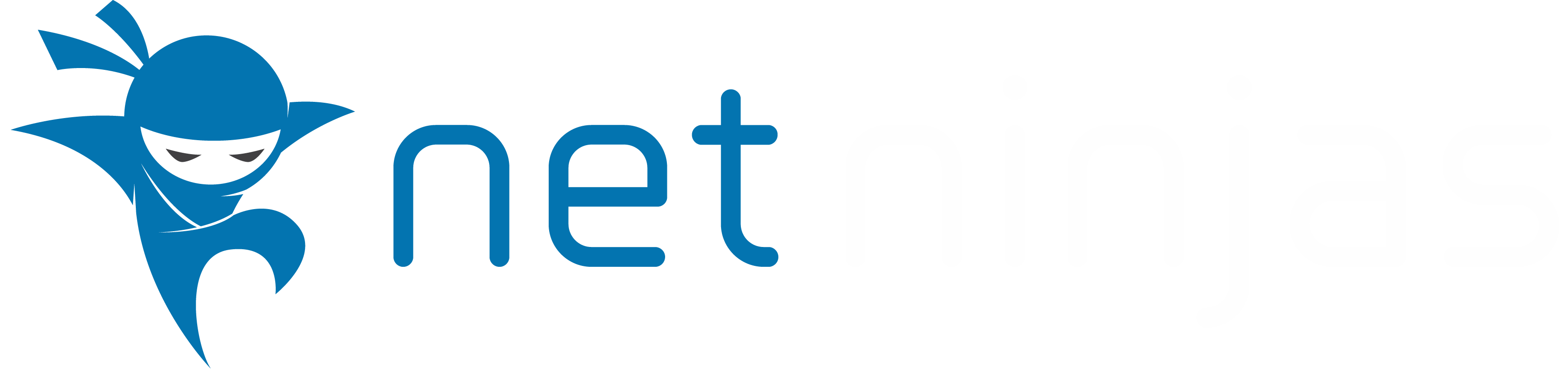 NetNinjas Logo White
